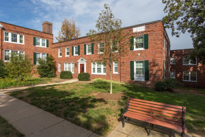 CVillage2