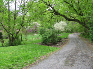 PotomacOverlook