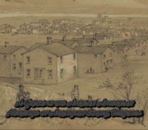 africanamerheritarlington